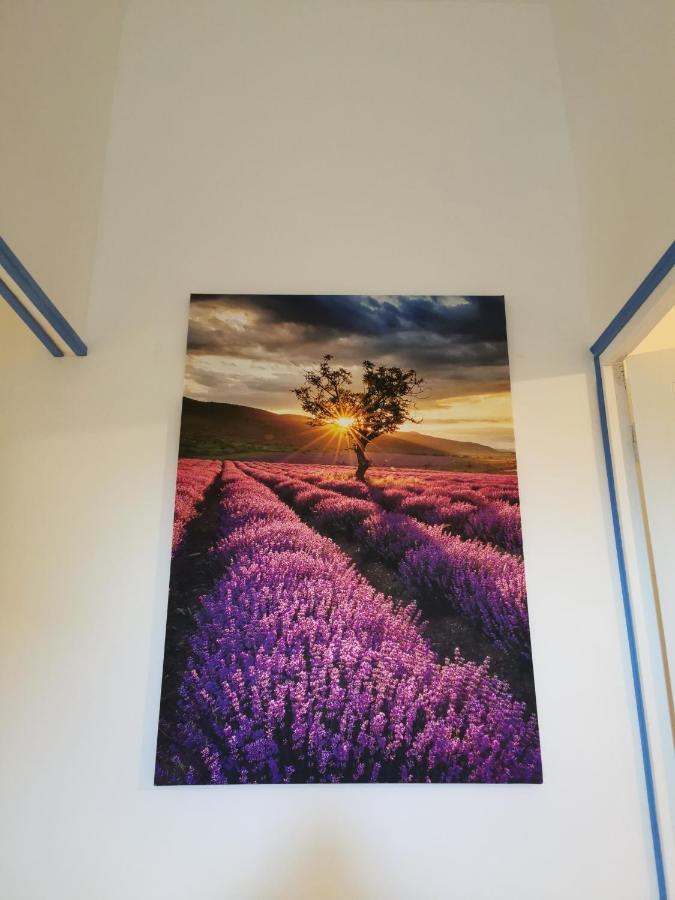 Mas De Ferigoulet -"La Rose Des Vents"& Univers Enfants "Lou Pitchoun" Orgon Bagian luar foto